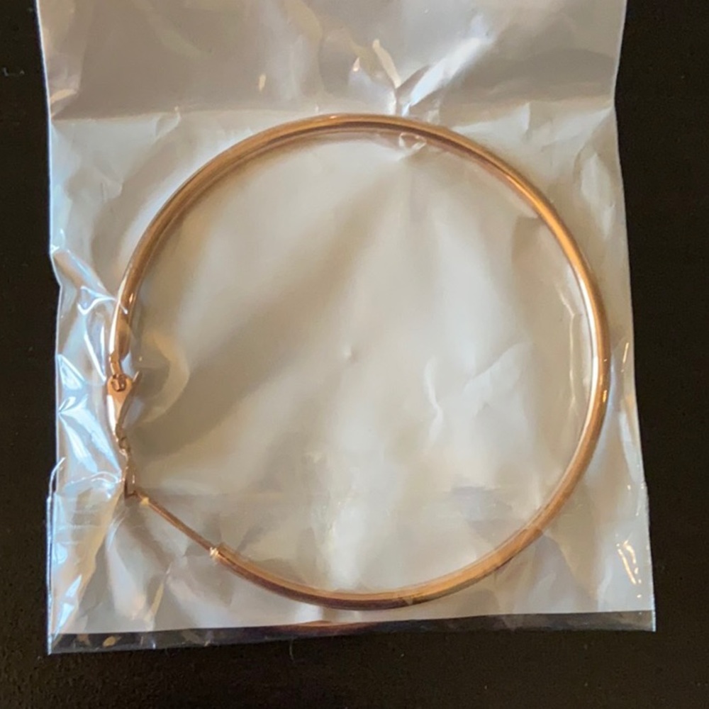 Stainless Steel Rose Gold Hoop Earrings